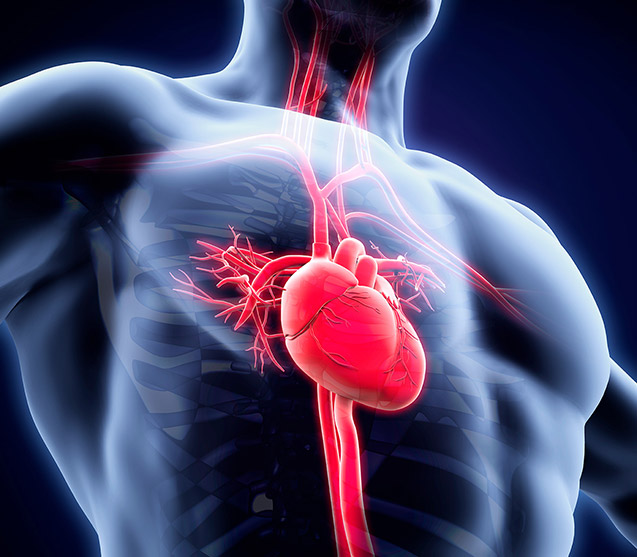 Cardiologia - AISTRA